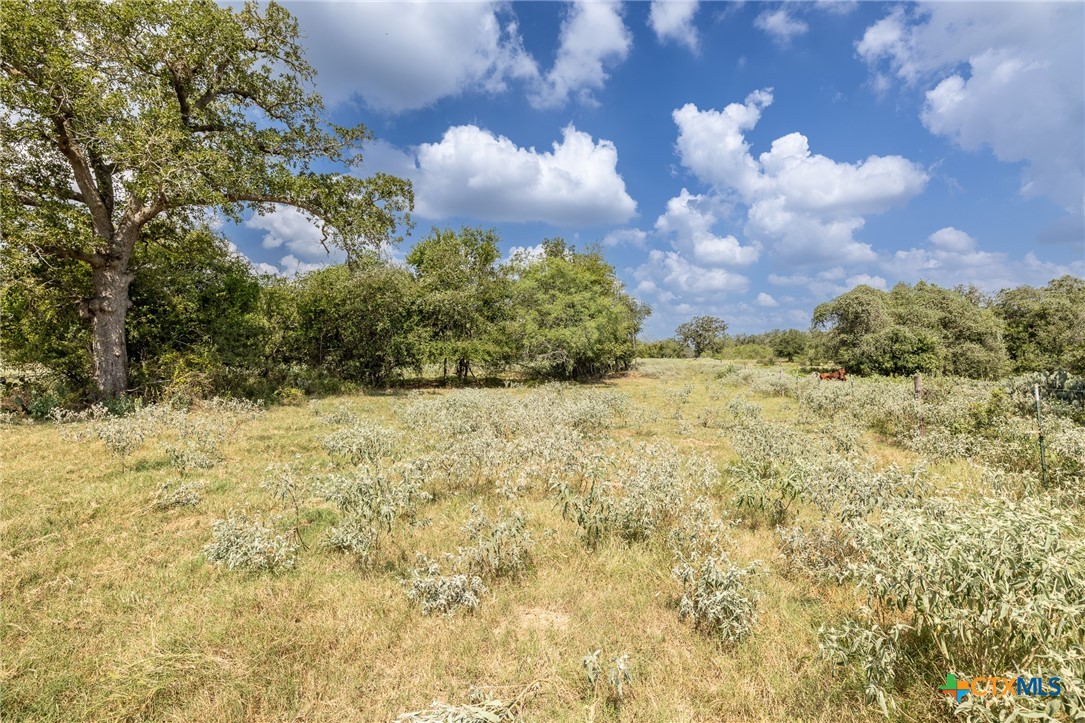 4725 Fm 532 Property Photo 11