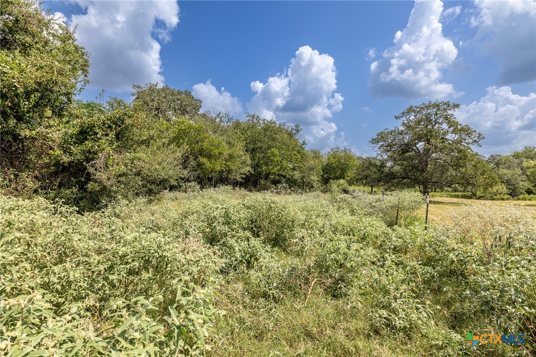 4725 Fm 532 Property Photo 13