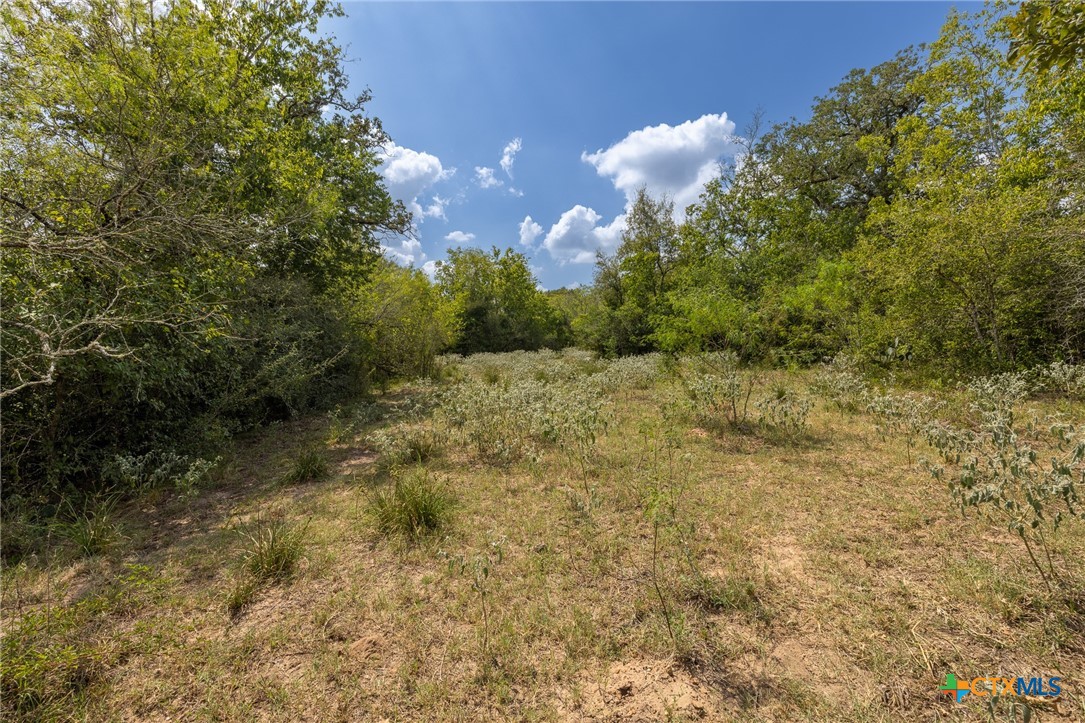 4725 Fm 532 Property Photo 14