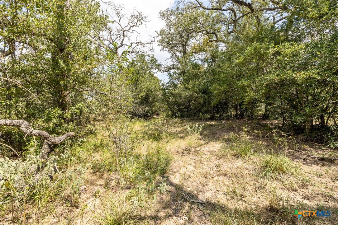 4725 Fm 532 Property Photo 16