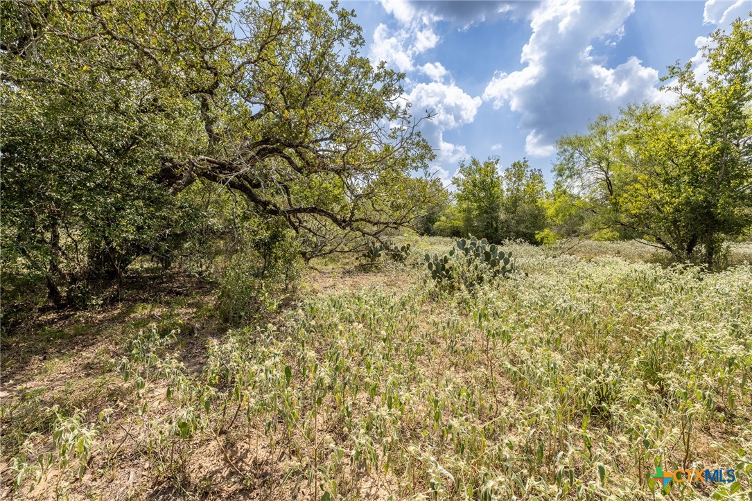 4725 Fm 532 Property Photo 17
