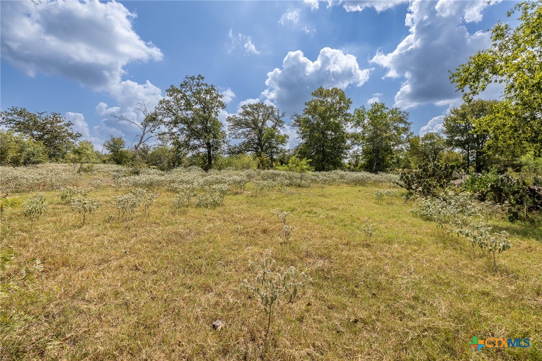 4725 Fm 532 Property Photo 18