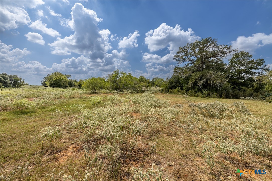 4725 Fm 532 Property Photo 20