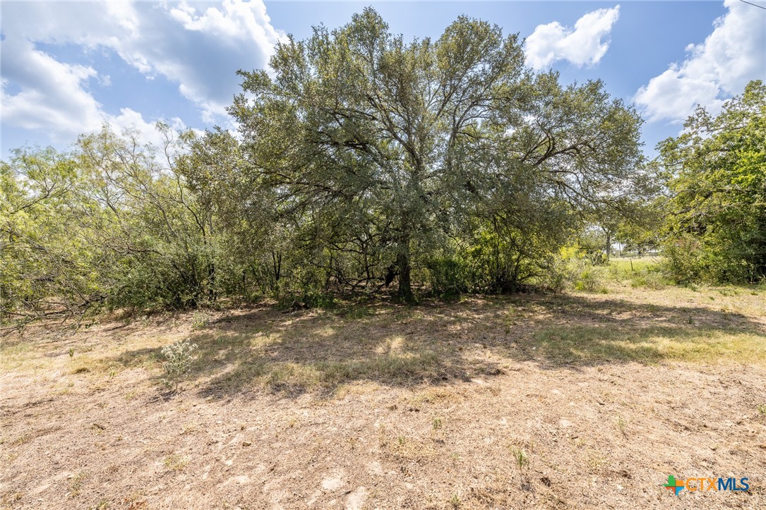 4725 Fm 532 Property Photo 28