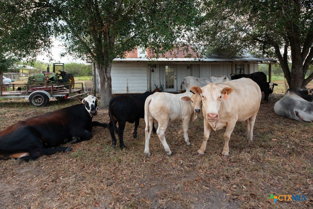 1649 State Highway 119 Property Photo 29