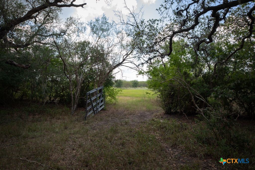 1649 State Highway 119 Property Photo 38