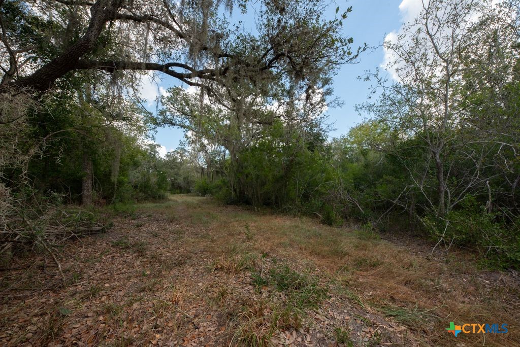 1649 State Highway 119 Property Photo 39