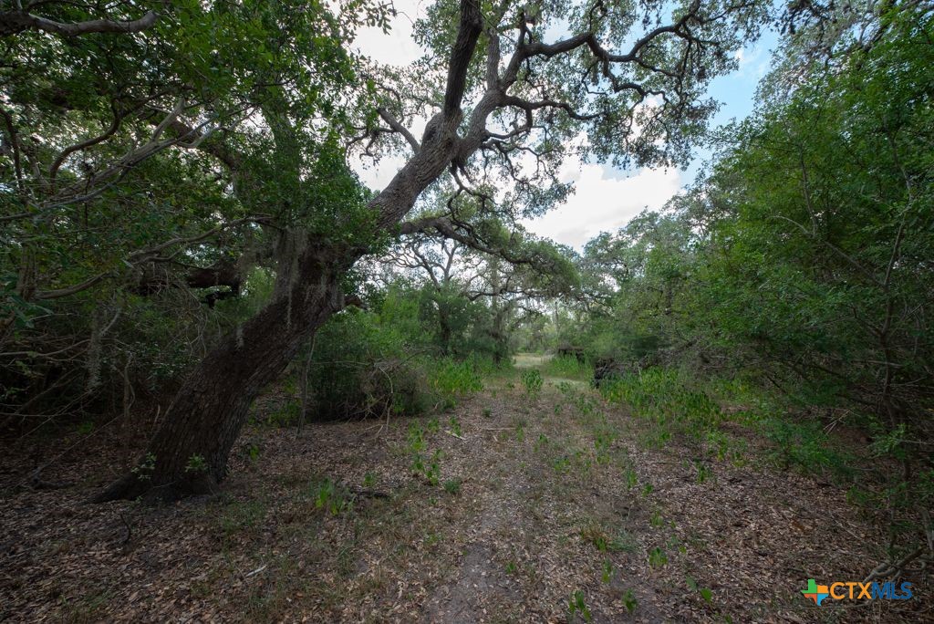 1649 State Highway 119 Property Photo 41
