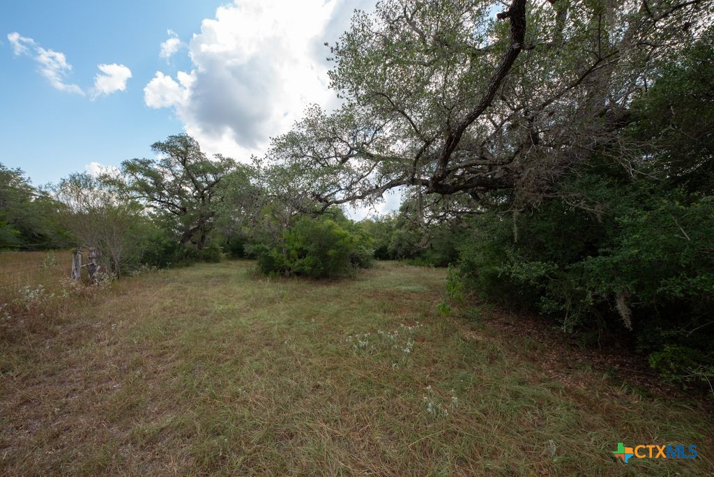 1649 State Highway 119 Property Photo 43
