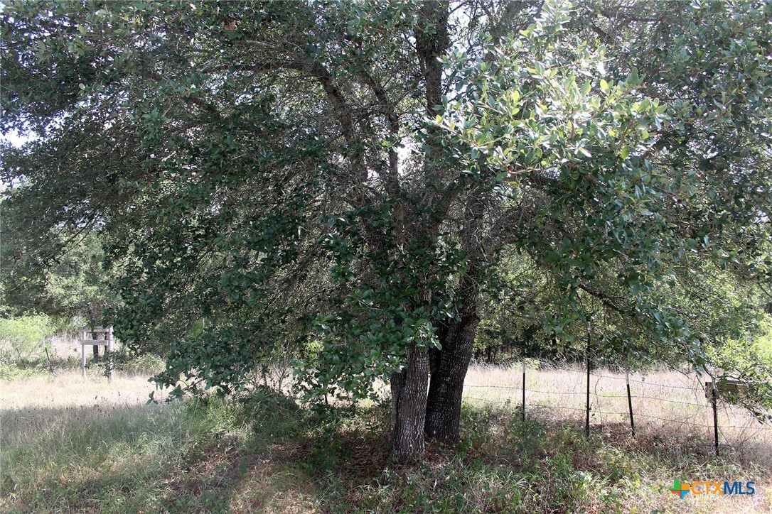 720 Green Acre Drive Property Photo 10