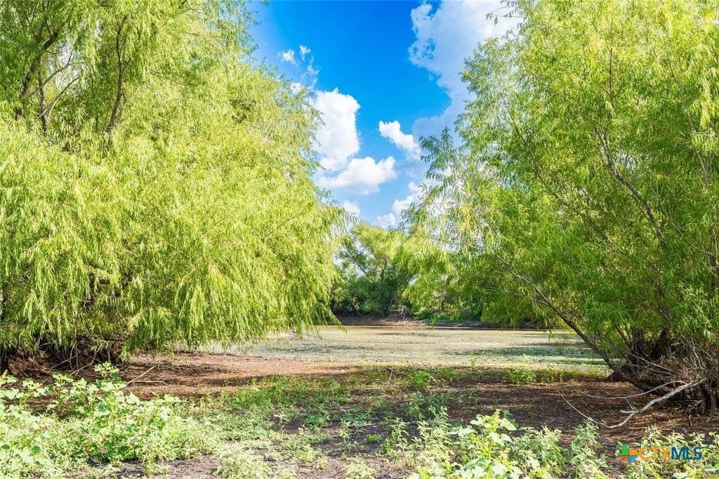 1215 Schuelke Road Property Photo 7