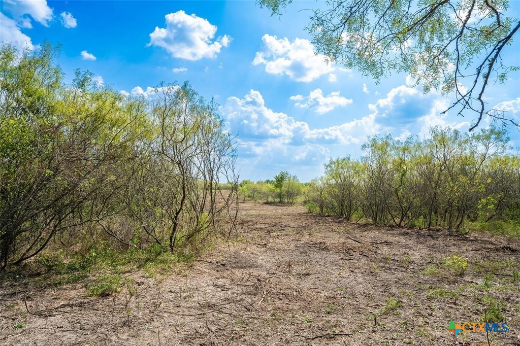 1215 Schuelke Road Property Photo 8
