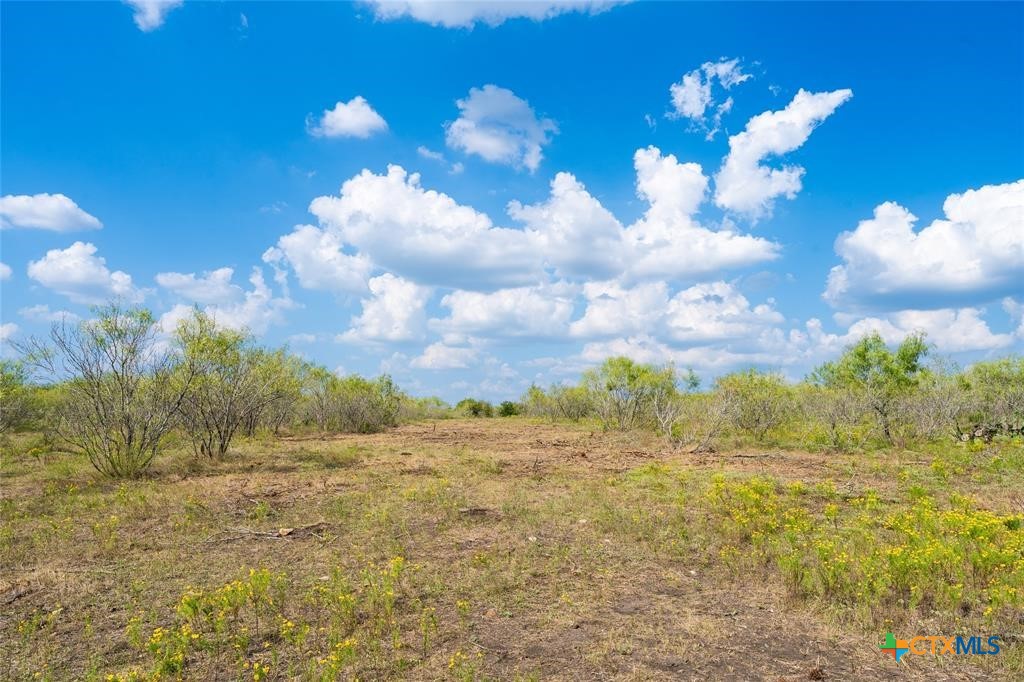 1215 Schuelke Road Property Photo 10
