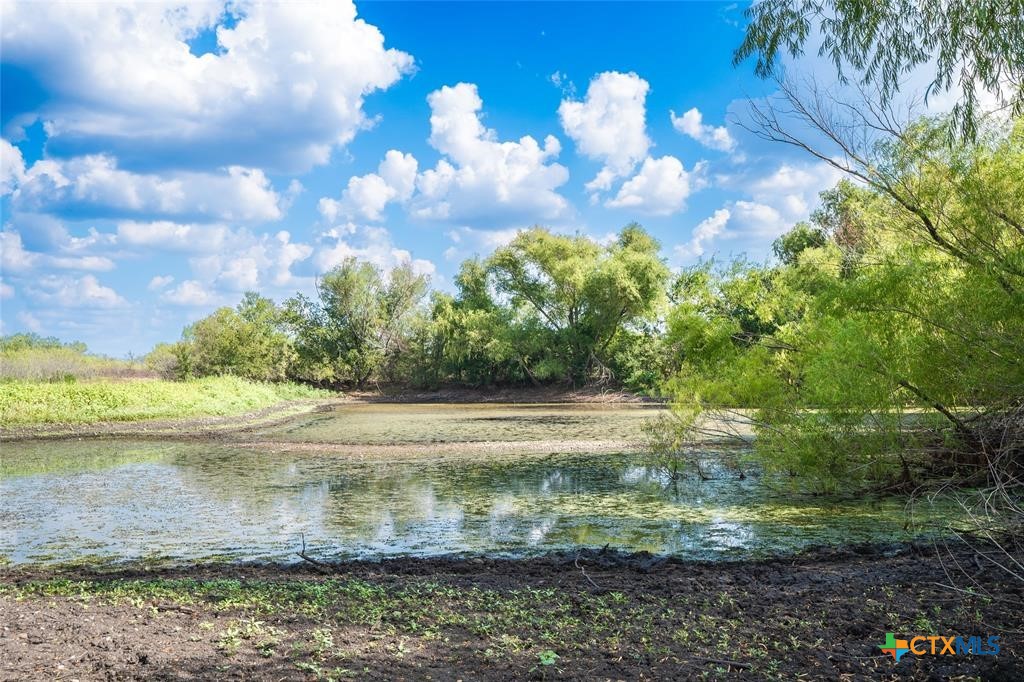 1215 Schuelke Road Property Photo 20