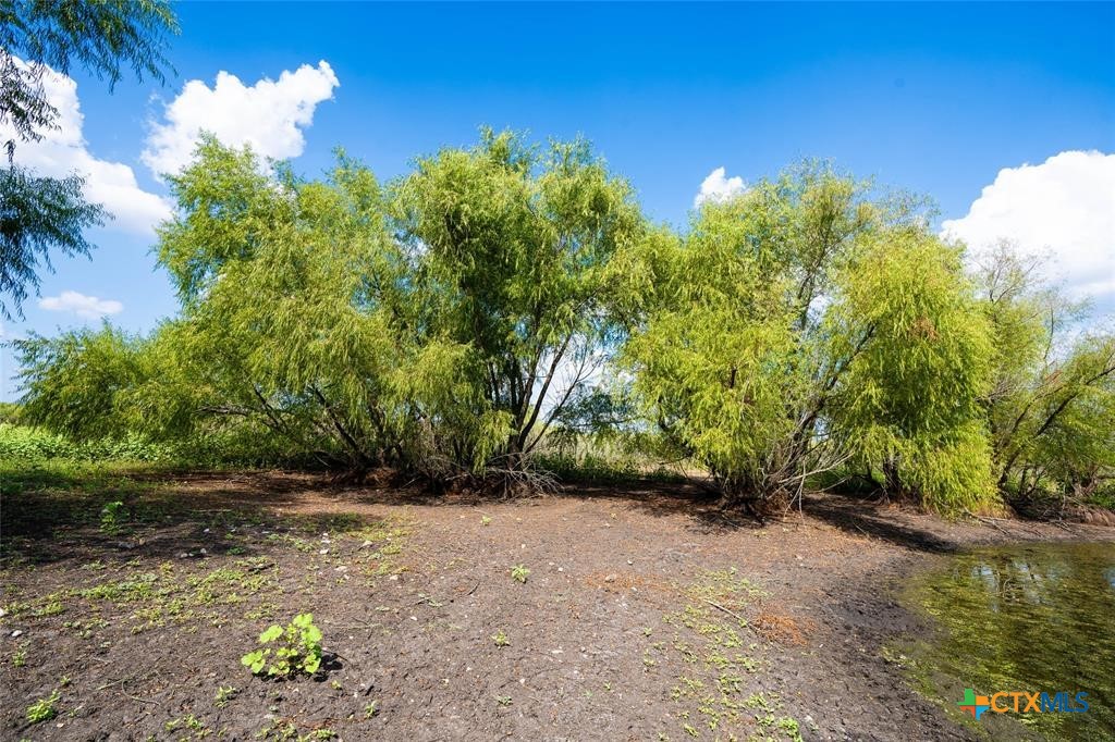 1215 Schuelke Road Property Photo 21