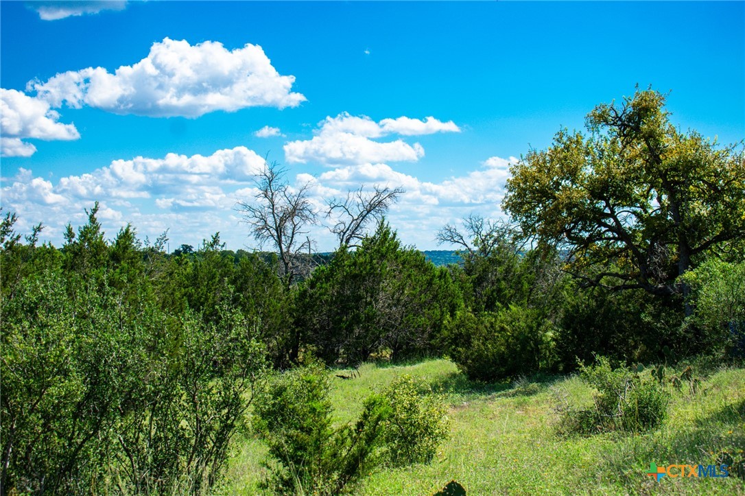 Lot 80 Private Road 4718 Property Photo 3