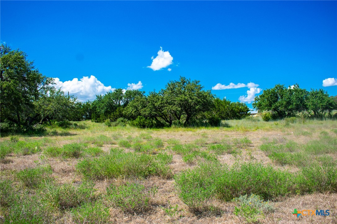Lot 80 Private Road 4718 Property Photo 7