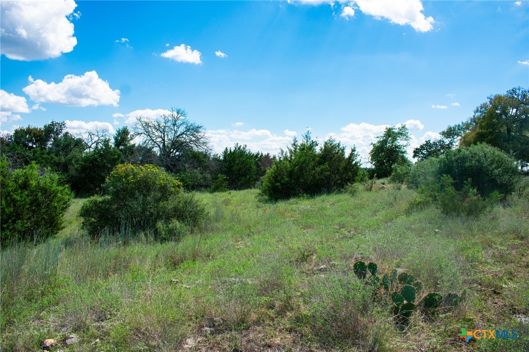 Lot 80 Private Road 4718 Property Photo 10