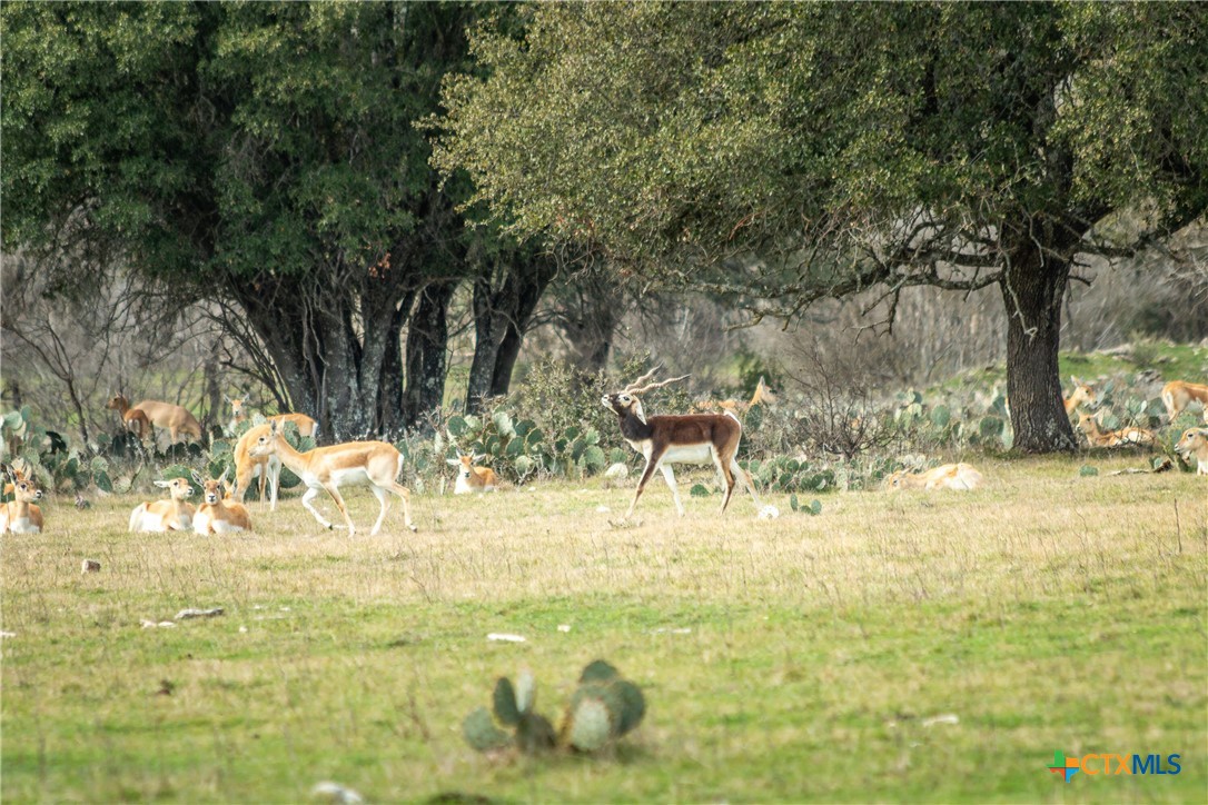 Lot 80 Private Road 4718 Property Photo 31