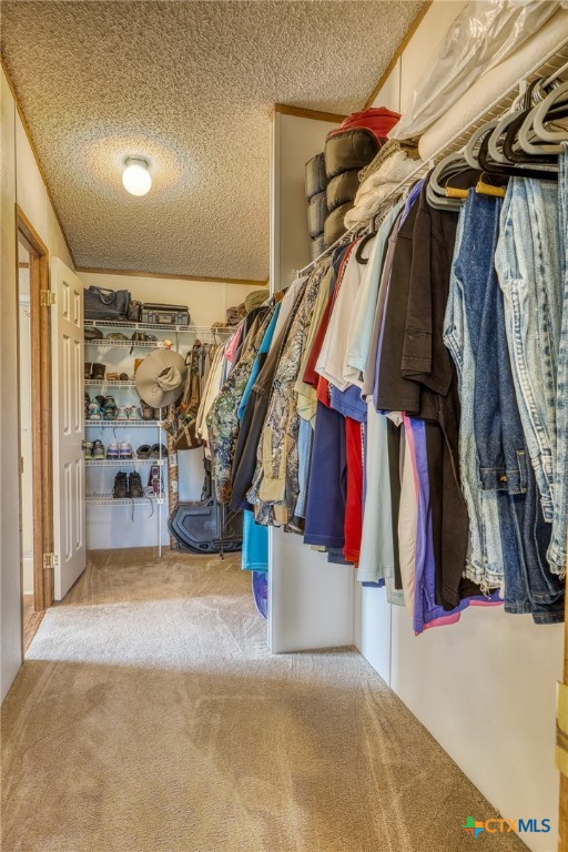4991 County Road 416 Property Photo 15