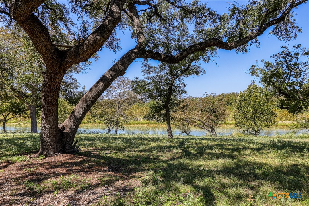 4991 County Road 416 Property Photo 34