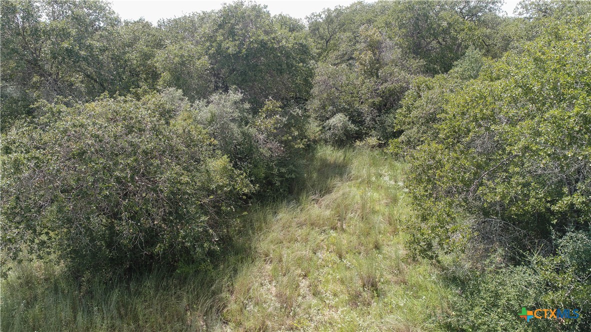 0 (lots 205-207) Sam Houston Parkway Property Photo 7