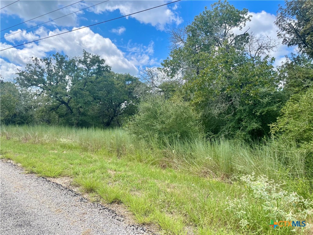 0 (lots 205-207) Sam Houston Parkway Property Photo 11