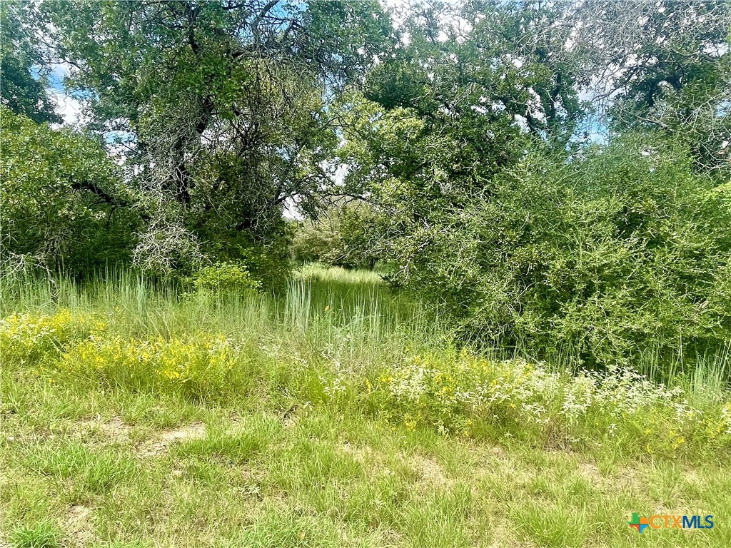 0 (lots 205-207) Sam Houston Parkway Property Photo 12