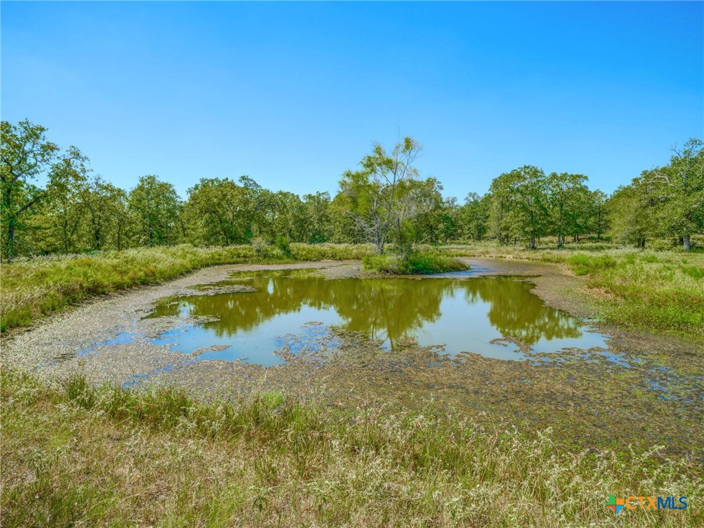 294 Lois Lane Property Photo 37