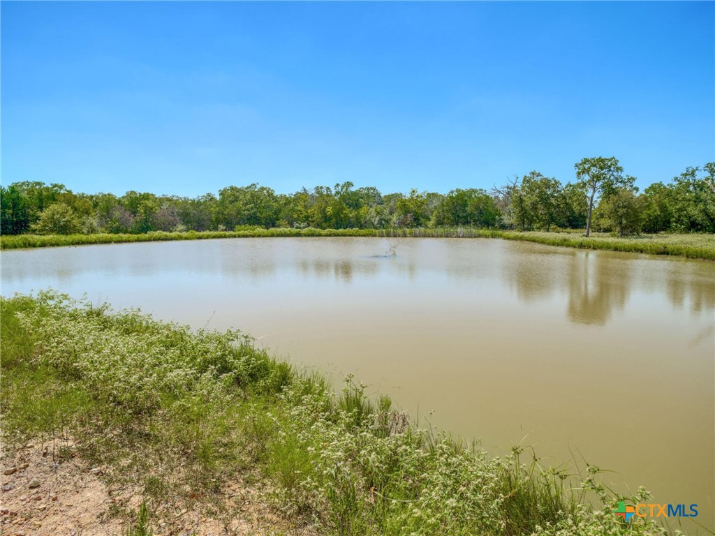 294 Lois Lane Property Photo 39
