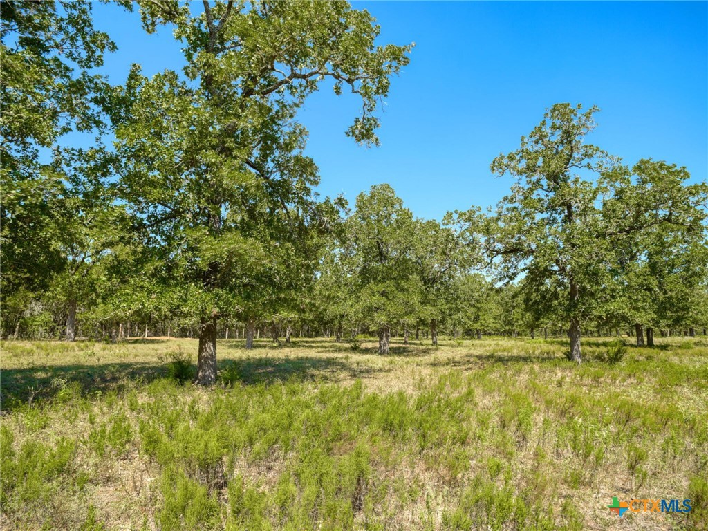 294 Lois Lane Property Photo 43
