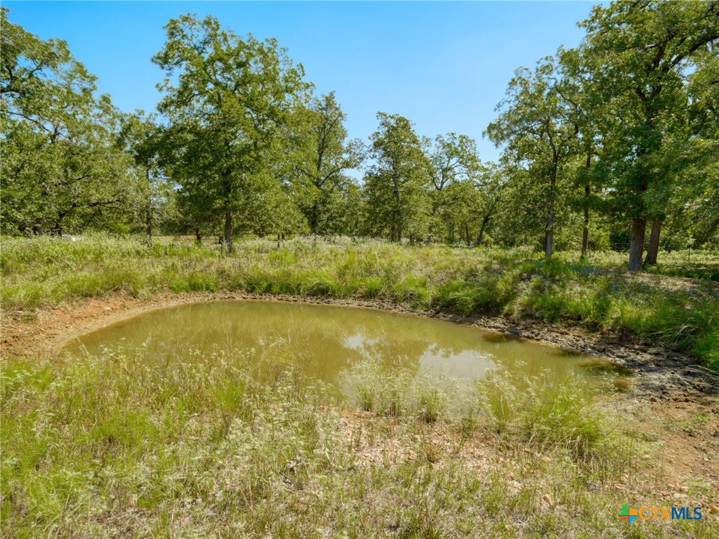 294 Lois Lane Property Photo 44