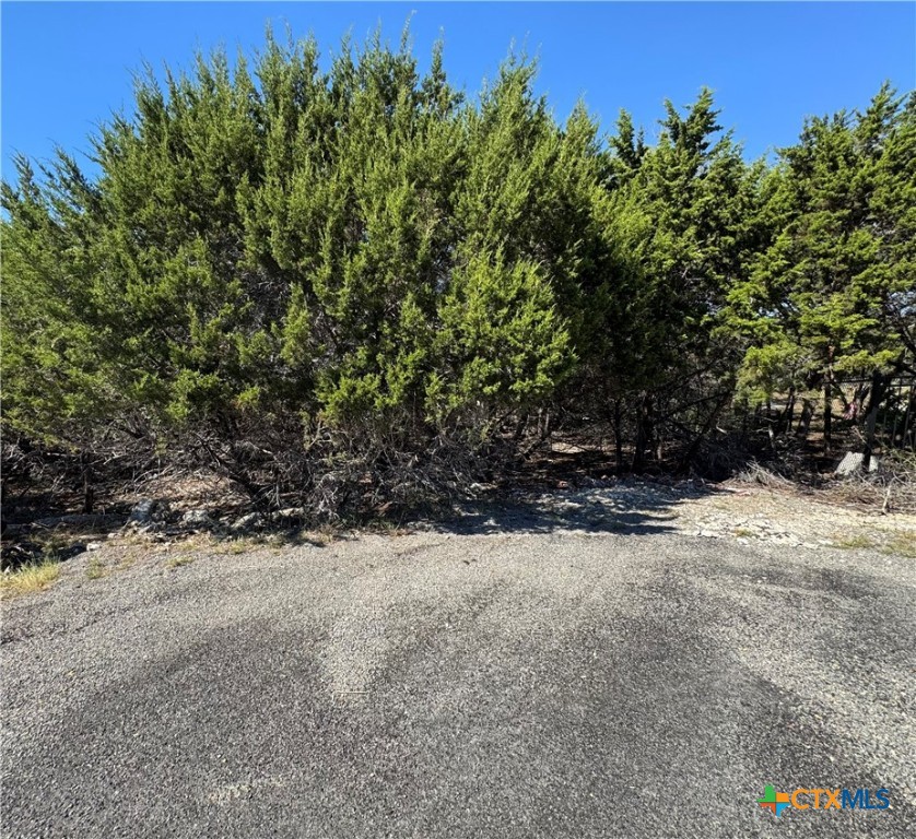 5536 Angelina Court Property Photo 1