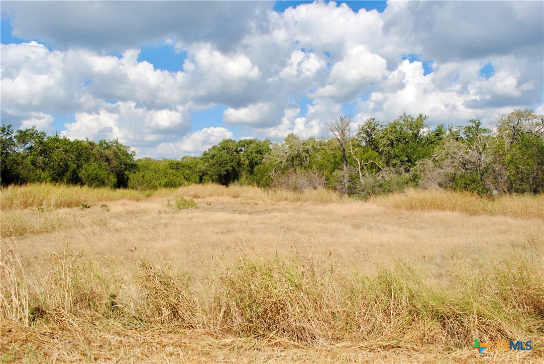 472 Falconwood Drive Property Photo 4