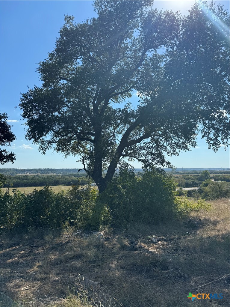 Lot 23 Bowles Ranch Road Property Photo 4