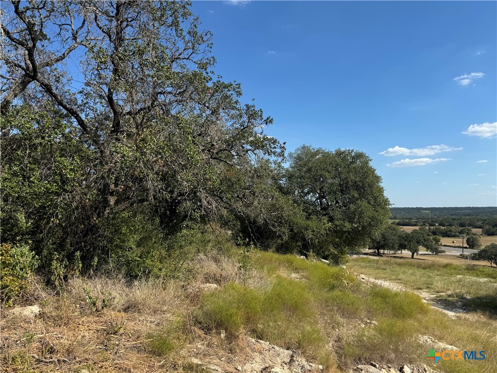 Lot 23 Bowles Ranch Road Property Photo 5