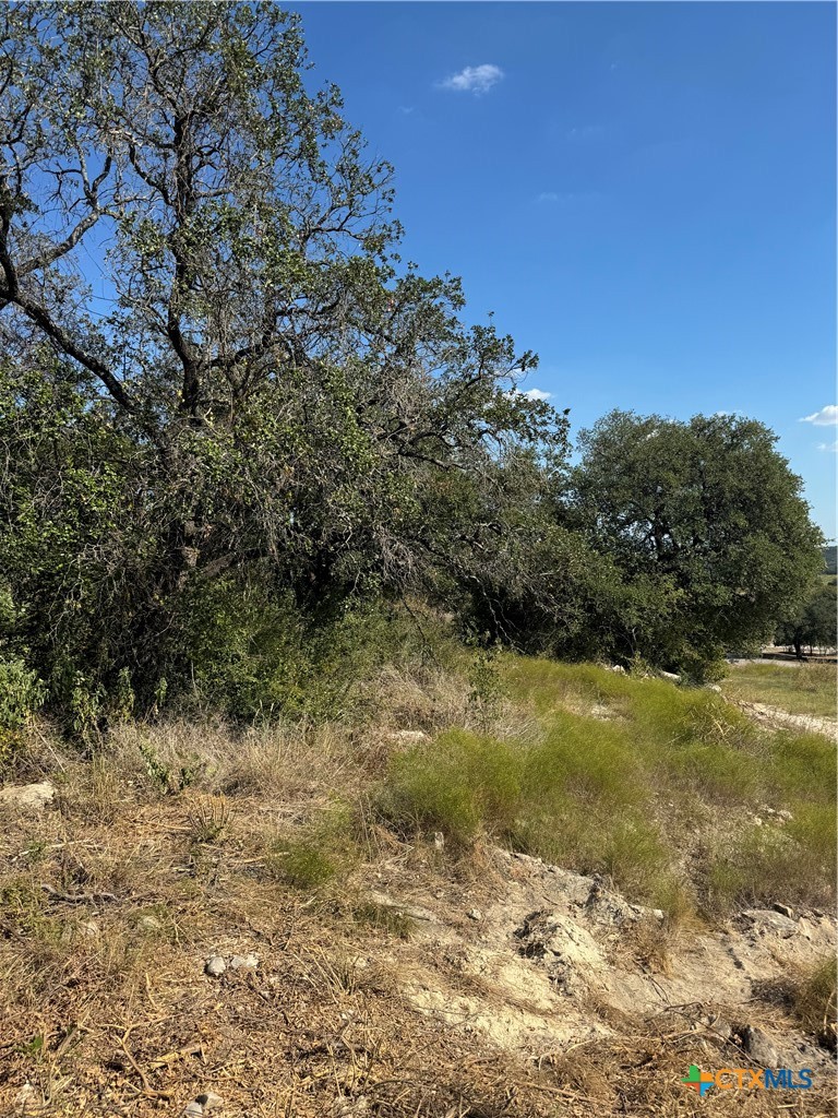 Lot 24 Bowles Ranch Road Property Photo 3