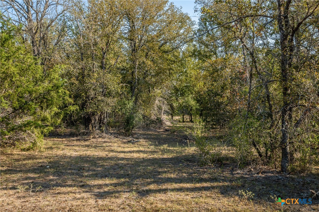 155 Taylor Lane Property Photo 27