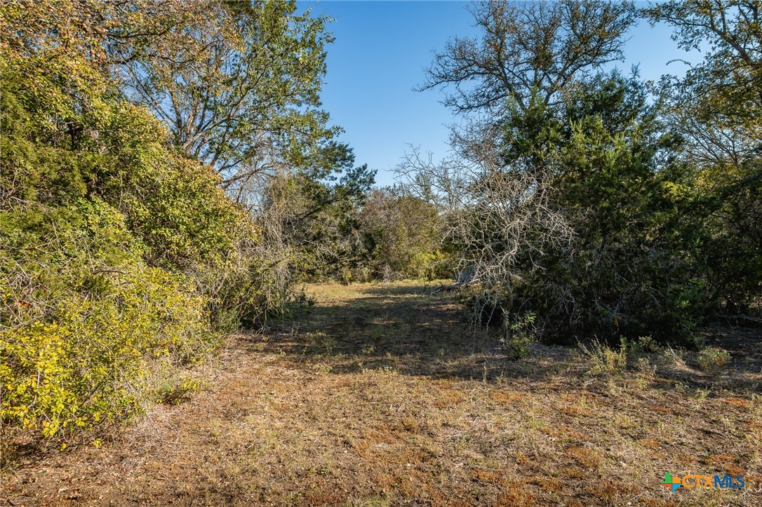 155 Taylor Lane Property Photo 32