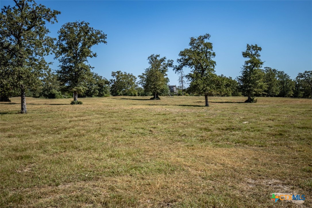 3321 County Road 457 Property Photo 30
