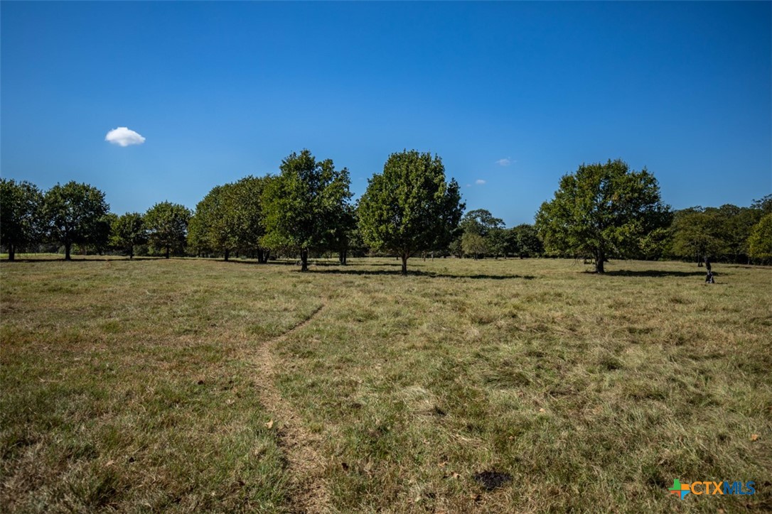 3321 County Road 457 Property Photo 32
