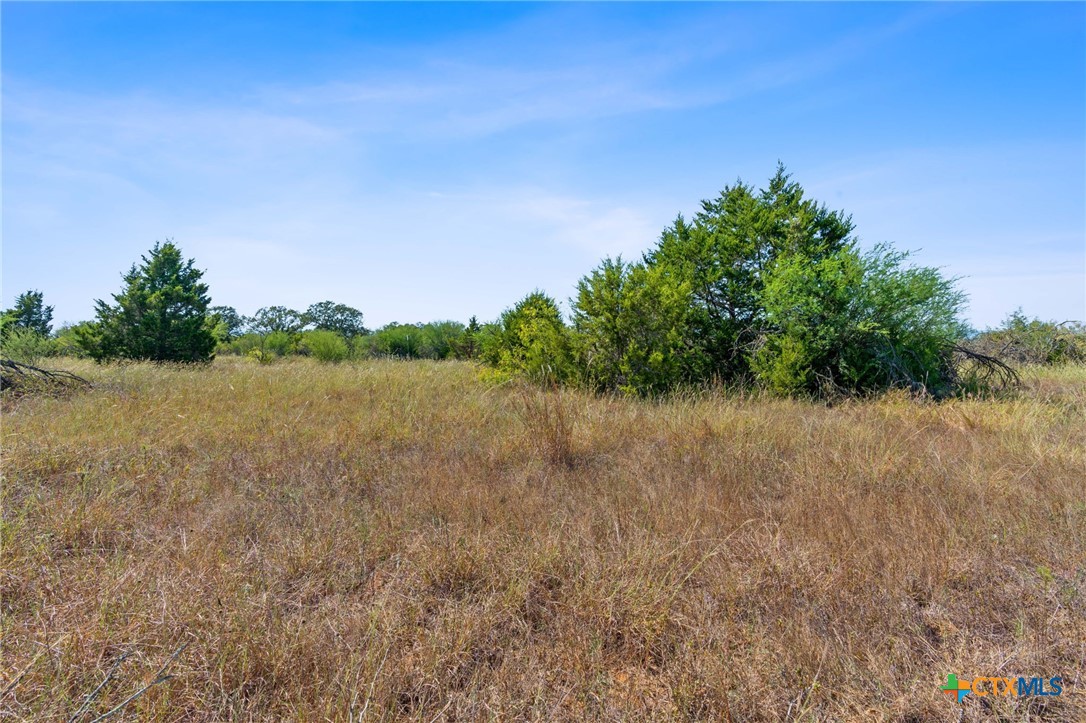 Lot 2 Tumbleweed Trail Property Photo 5
