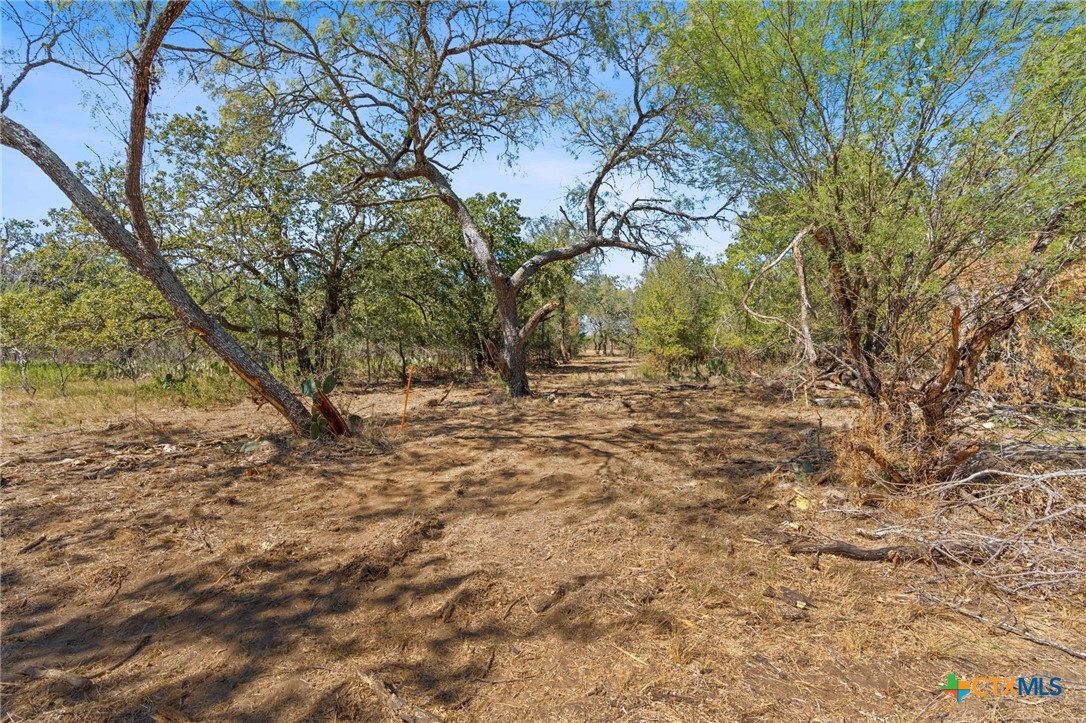 Lot 2 Tumbleweed Trail Property Photo 6