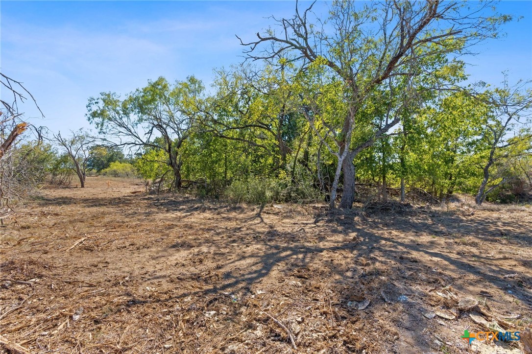 Lot 5 Tumbleweed Trail Property Photo 3