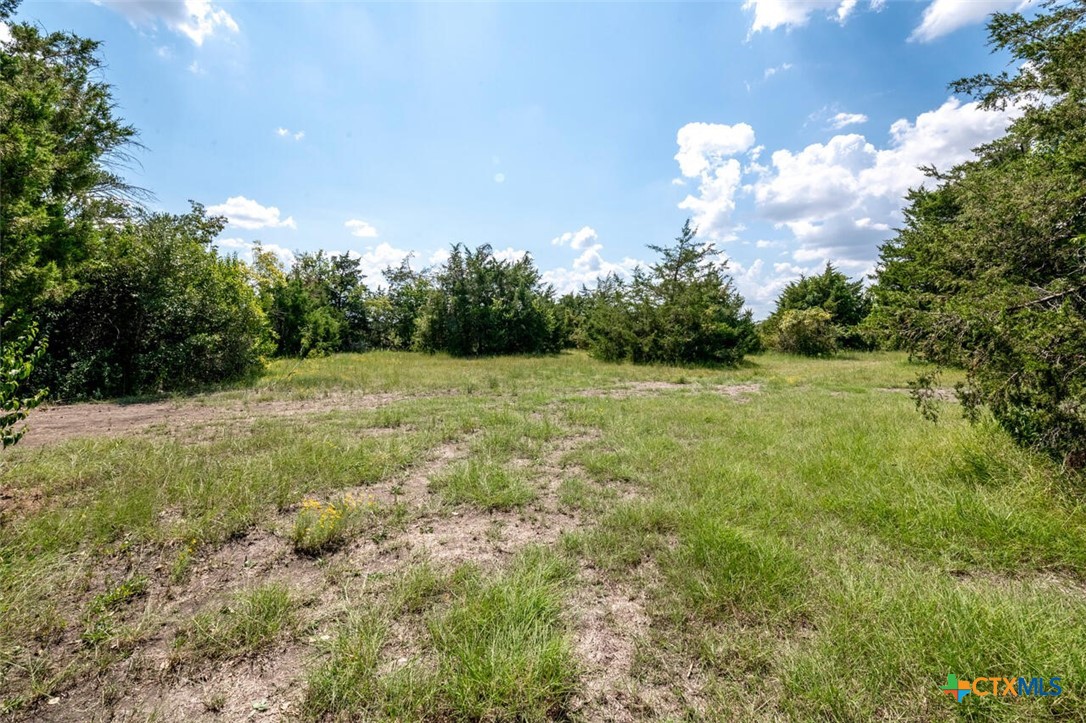 901 S Old Robinson Road Property Photo 38
