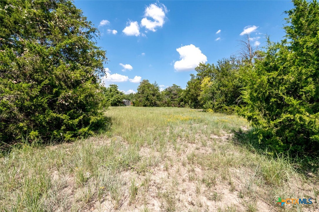 901 S Old Robinson Road Property Photo 40