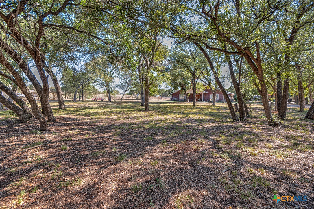 11239 Brewer Road Property Photo 5