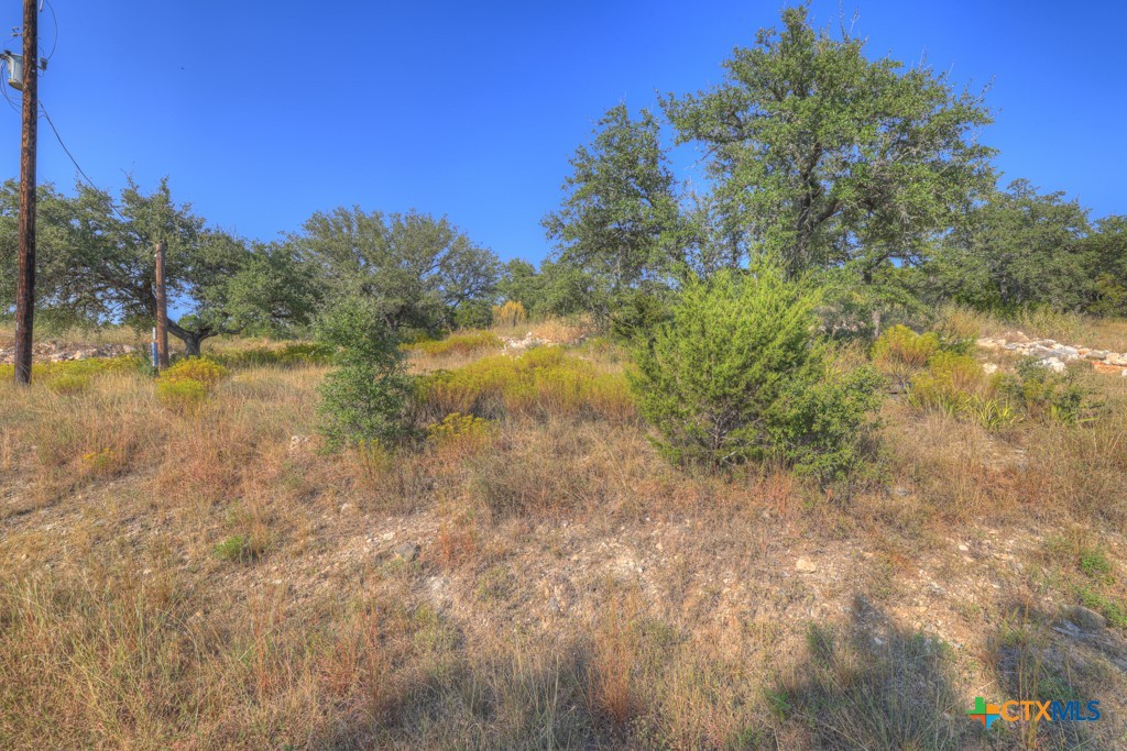 505 Village Top Property Photo 11