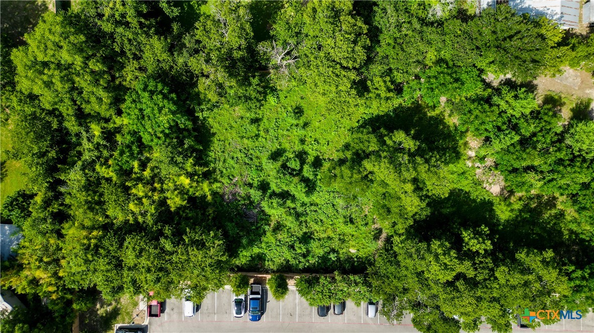 1951 Gruene Road Property Photo 44