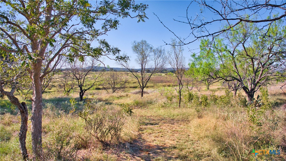 10335 Hickory Grove Road Property Photo 22
